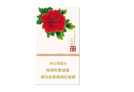 墙外烟囱砌法图集视频